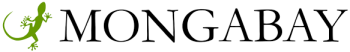 Mongabay