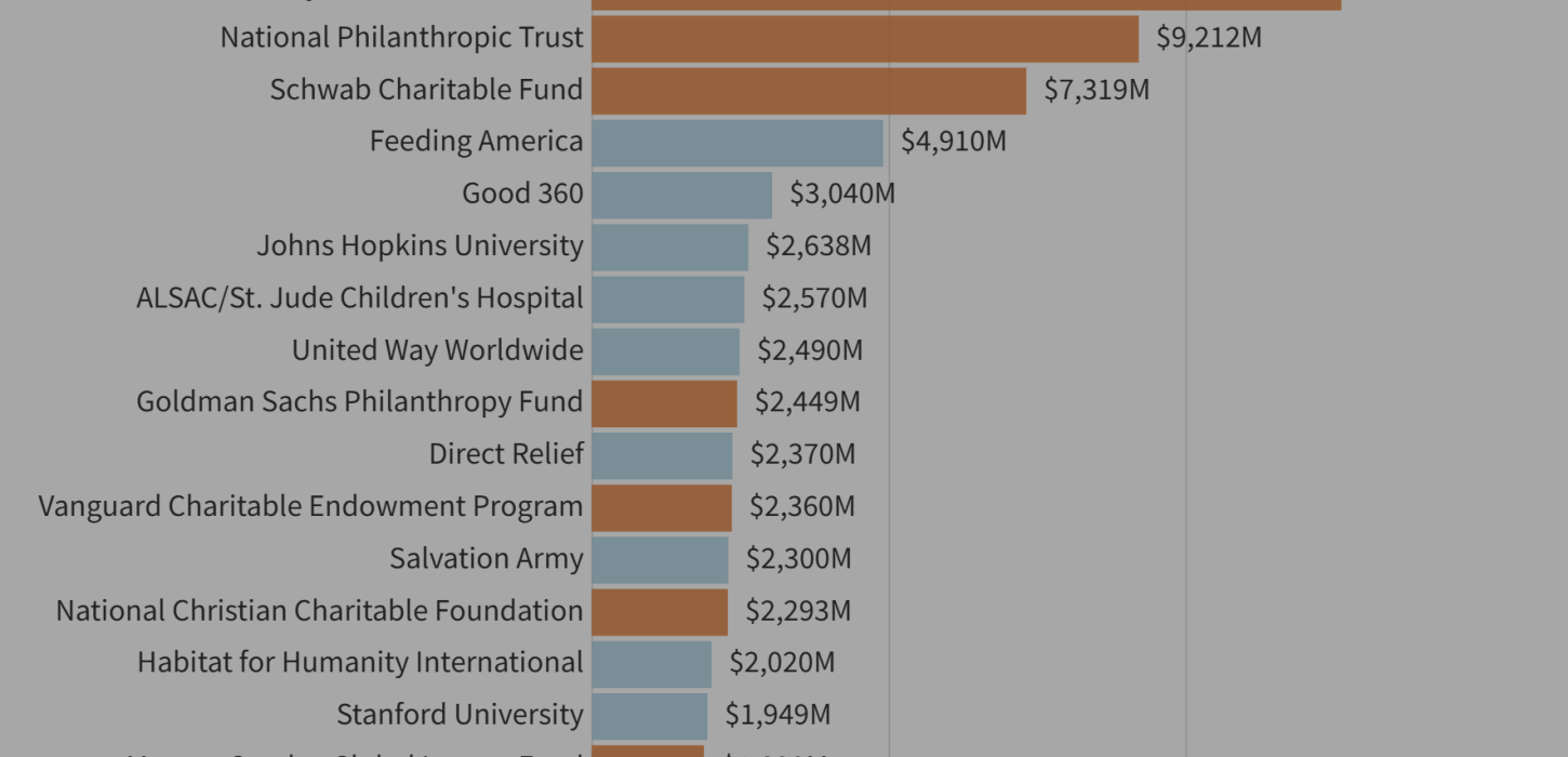 bar graph that shows the worth of the top charities and donor-advised funds